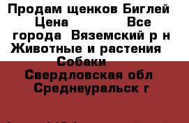 Продам щенков Биглей › Цена ­ 15 000 - Все города, Вяземский р-н Животные и растения » Собаки   . Свердловская обл.,Среднеуральск г.